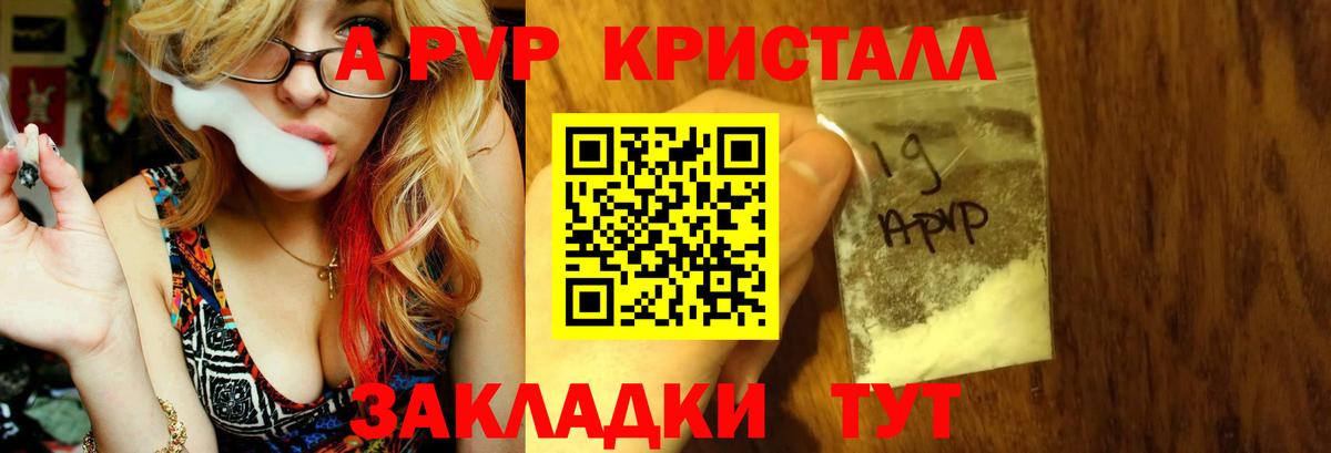 APVP СК КРИС Калининград