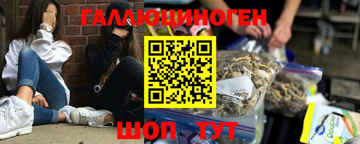 Галлюциногенные грибы ЛСД Калининград