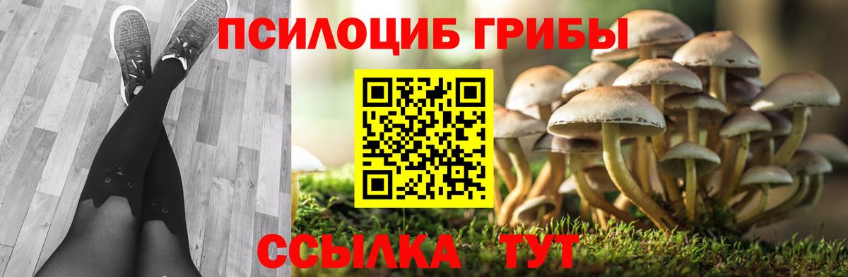 Галлюциногенные грибы мицелий  Вход с VPN  Галлюциногенные грибы Psilocybine cubensis  Калининград 